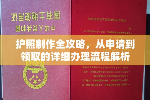 雾峰护照制作全攻略，从申请到领取的详细办理流程解析